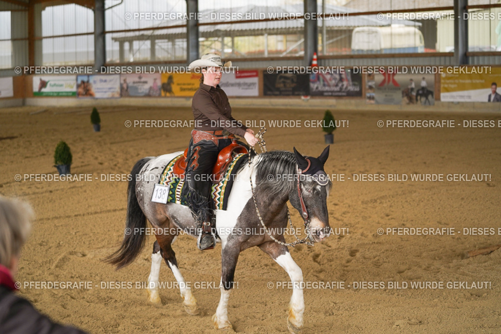 DSC04798 | Pferdegrafie