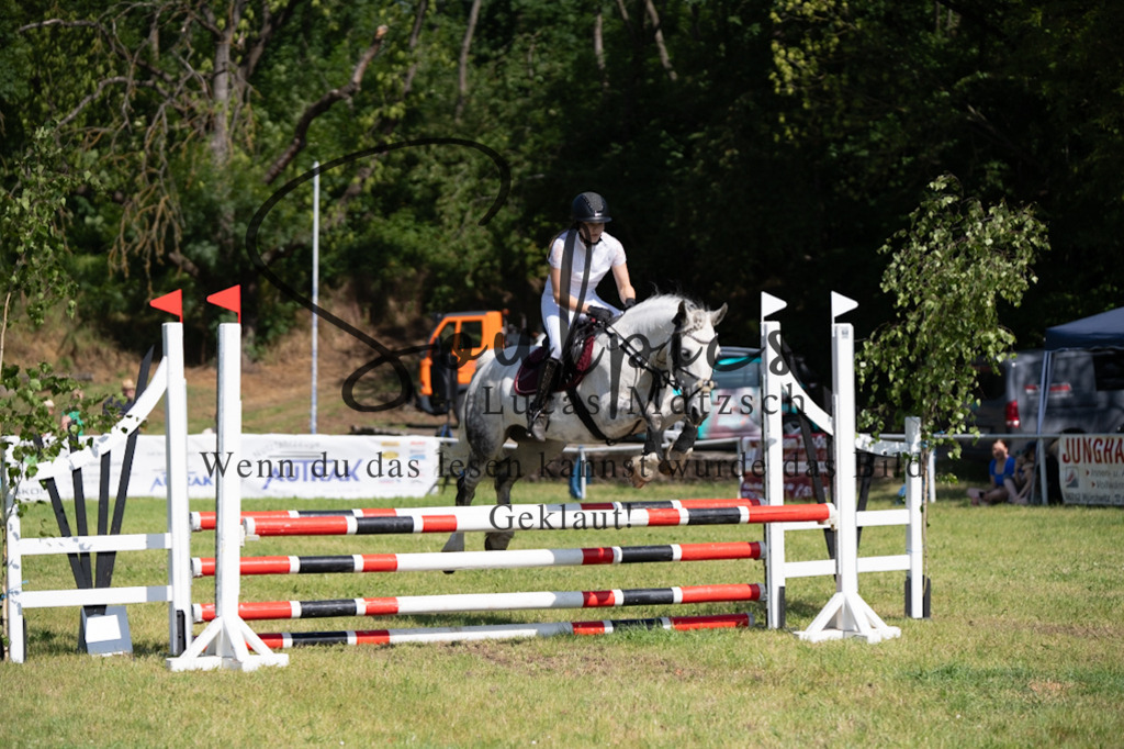 A7V05536 | Pferdefotograf