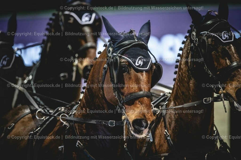 20240203_FEI-Driving-World-Cup_0011 | Foto: Thomas Hartig