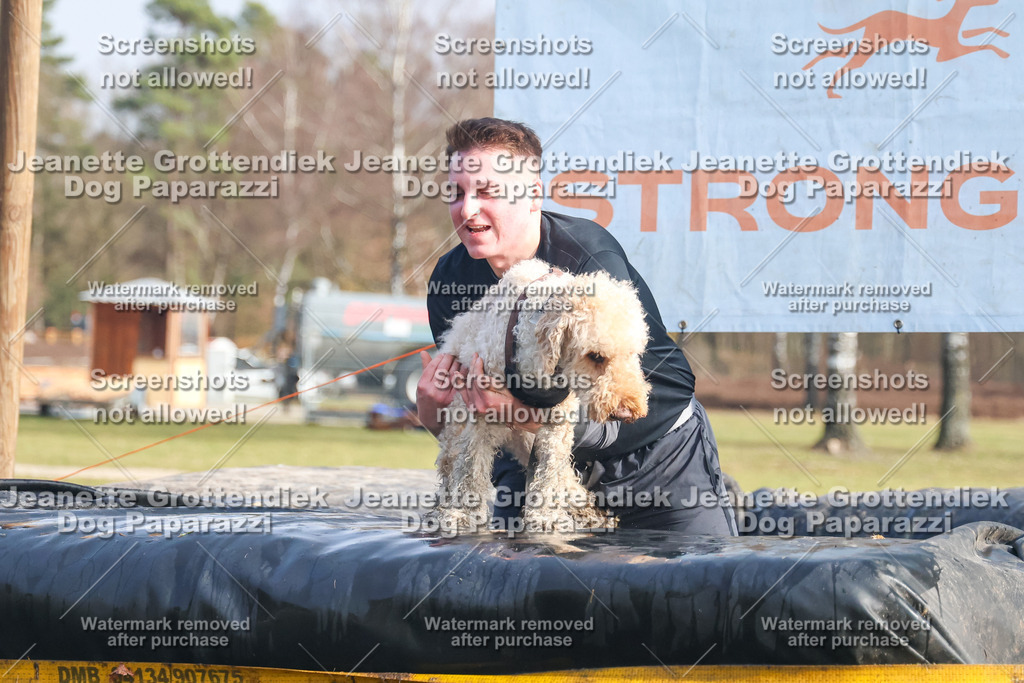 Dog Paparazzi - Strongdog North Mrz26-2196 | Dog Paparazzi Jeanette Grottendiek Fotografie & Videografie - Realisiert mit Pictrs.com