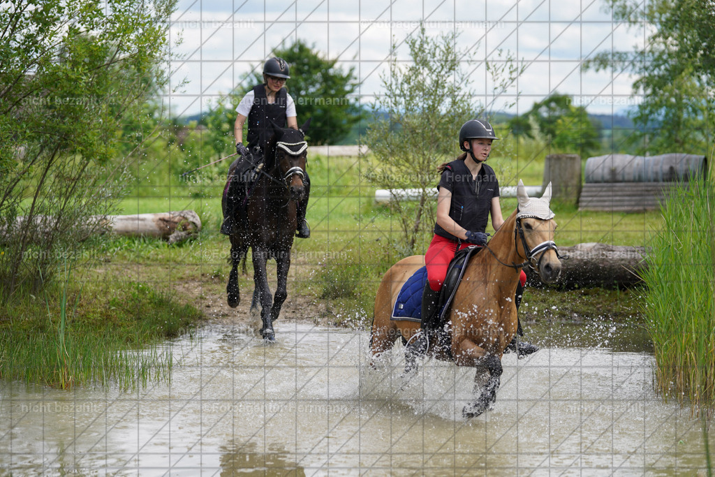 20240622-FAH07543 | Turnierfotografen Bayern, Reitsportbilder aus dem Geländekurs mit Felix Etzel auf dem Gut Waitzacker 2024
