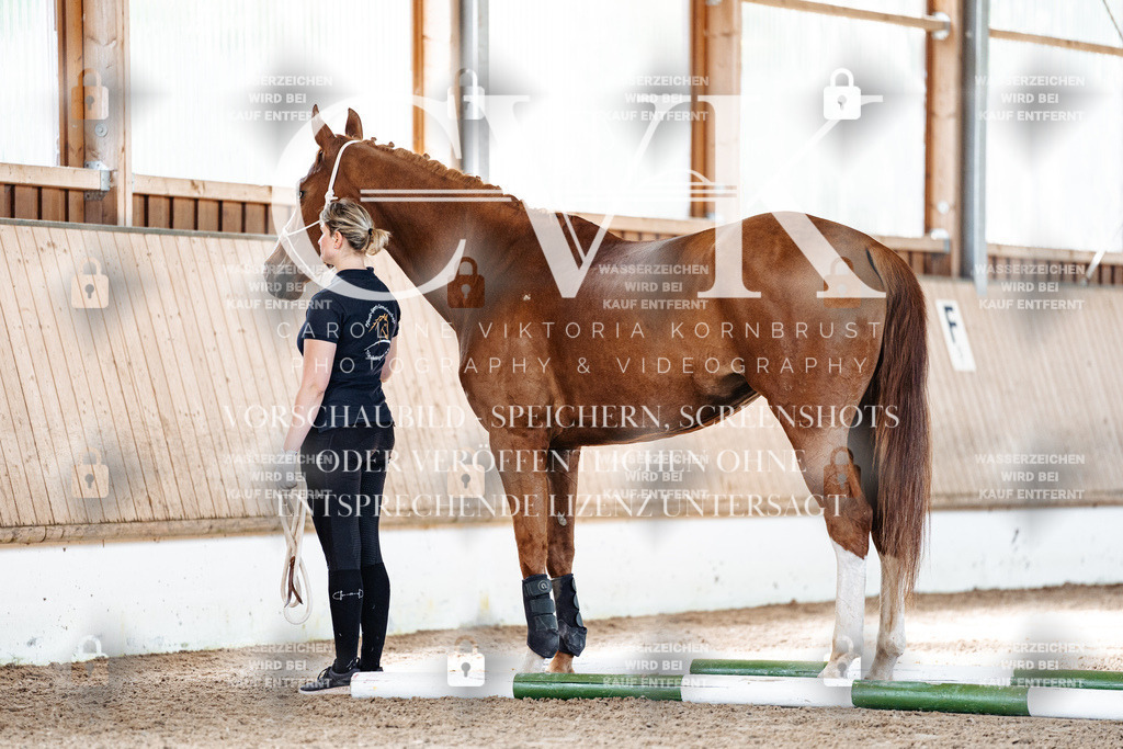 CK906065 | Turnierfotografie Pferdefotografie Trier Rheinland-Pfalz Pferdesport Reitsport Tierfotografie Sportfotografie Pferdevideo Pferdevideografie Equestrianvideography equestrianphotography  - Realisiert mit Pictrs.com