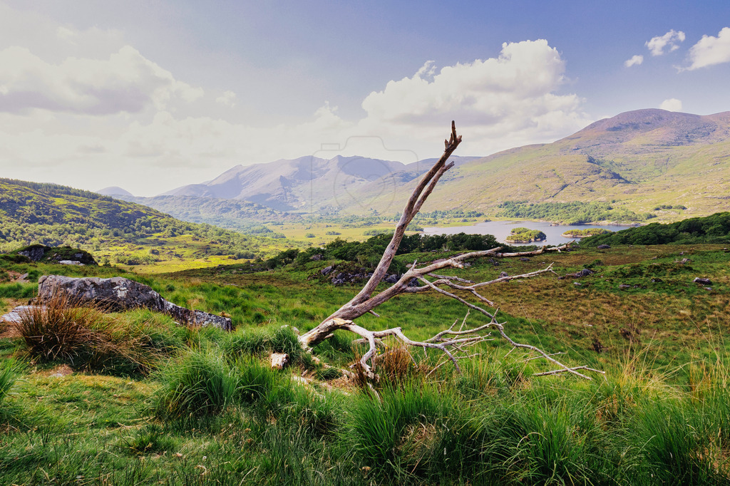 Ladies View | Weiter Ausblick am Ladies View am Ring of Kerry. - Realisiert mit Pictrs.com