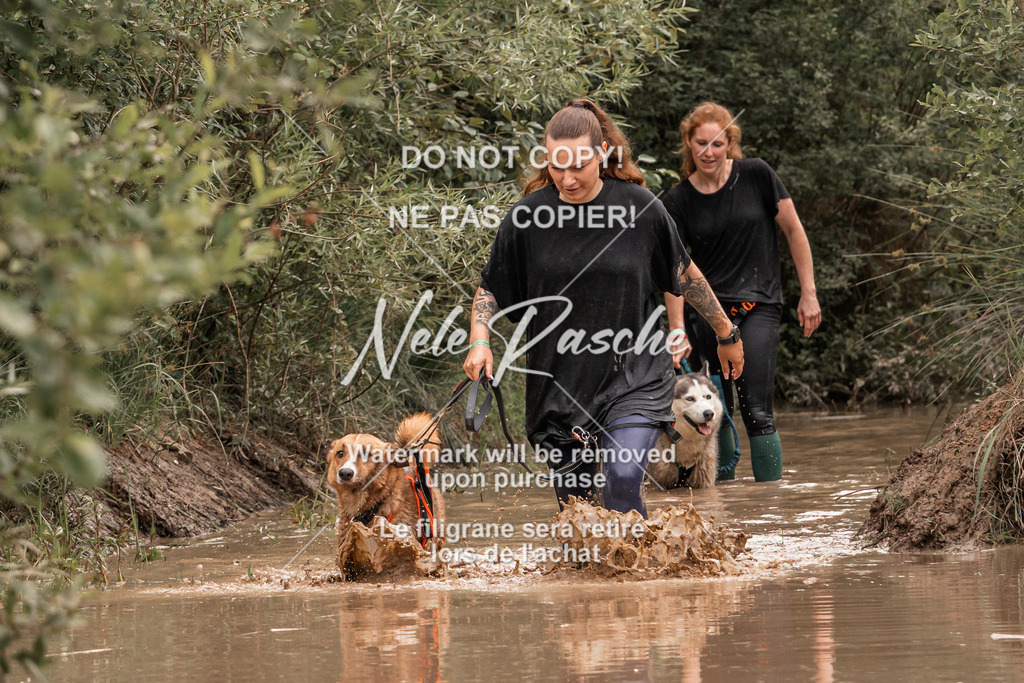 nelerasche_Hoope2026_So1000-1030_183 | nelerasche