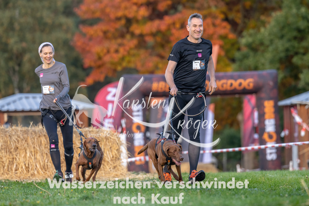 0856_ZZ91768-Bearbeitet | kk-dogfotos