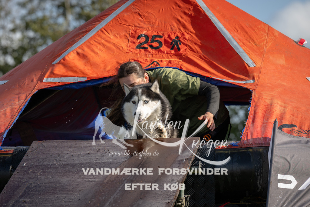 1407-93720 | kk-dogfotos