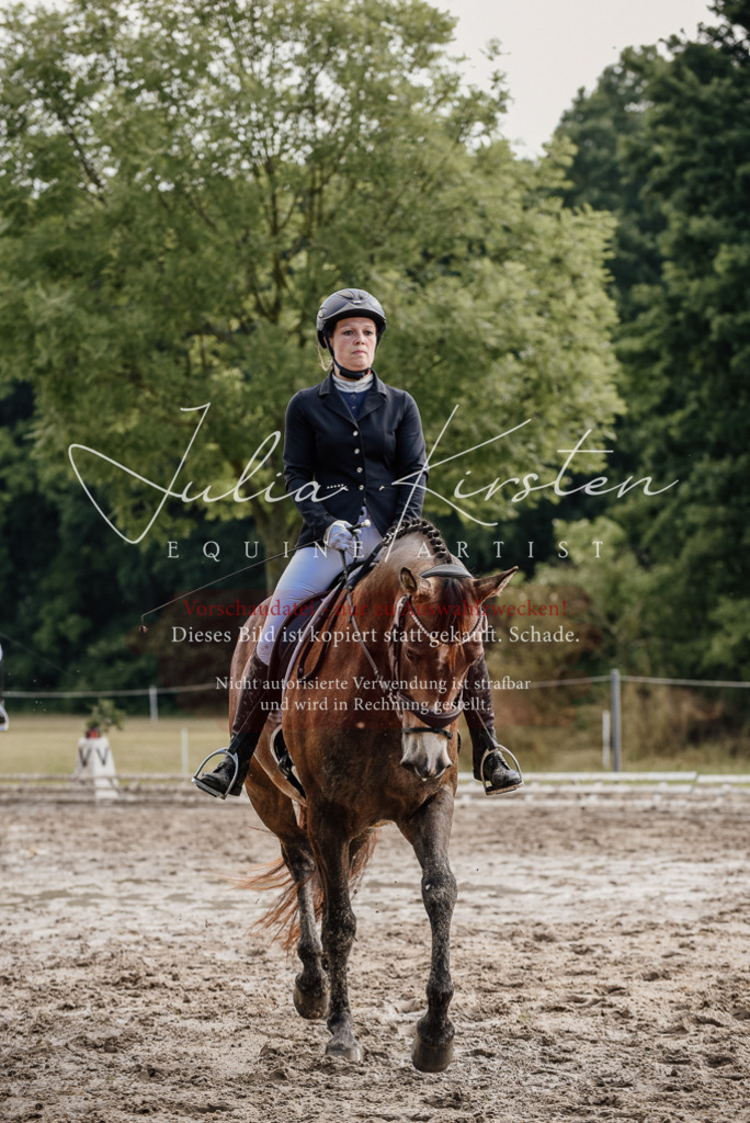 DSC_9251 | Pferde- und Turnierfotografie in Westsachsen. Pferdeportraits, Auftragszeichnungen und intuitive Kunst.