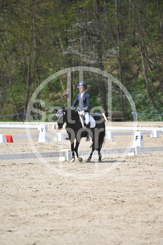 DSC_2419 | sattelsport - Realisiert mit Pictrs.com