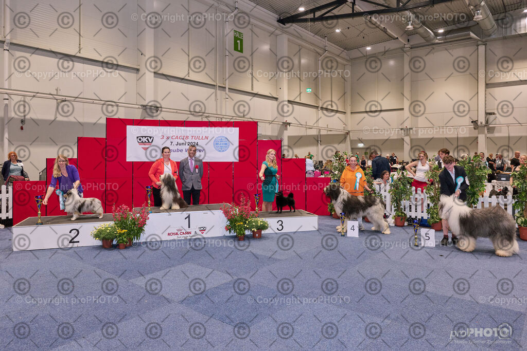 202406_ÖKV-IHA-Tulln24_NZ9_7806 | proPHOTO - Realisiert mit Pictrs.com