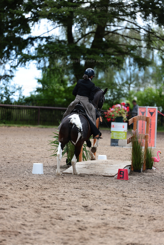 KlasseL_Stoibphotography_CAM23665.JPG | working equitationturnier fotograf videograf stoibphotography marixx film working equitation deutschland reitsport turnierfotografie eventfotografie equestrian events