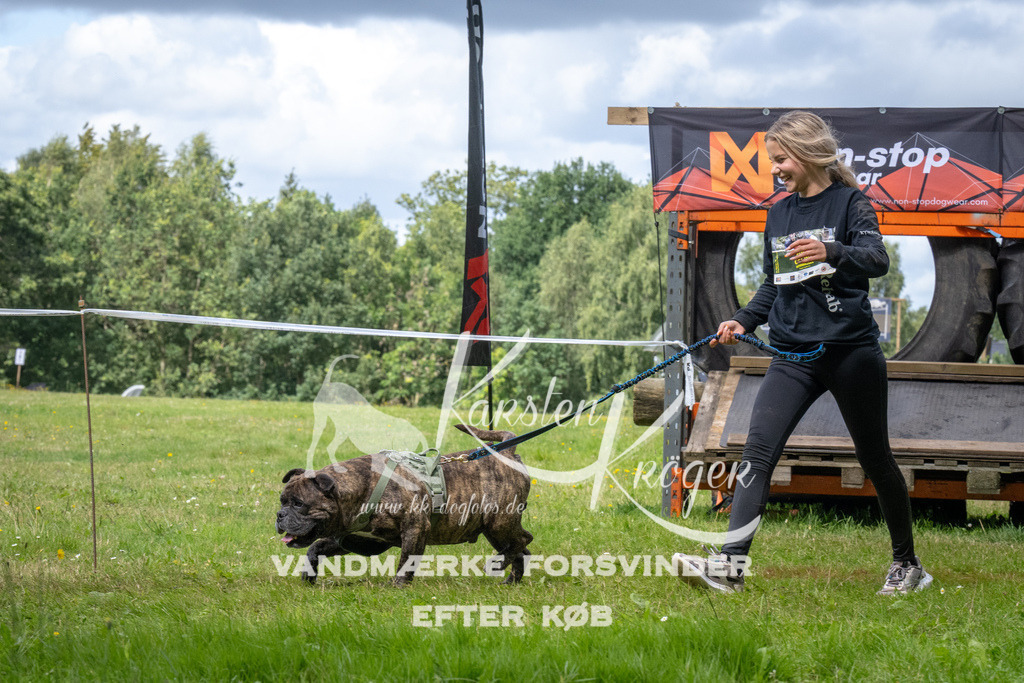 1410_ZZ90909 | kk-dogfotos