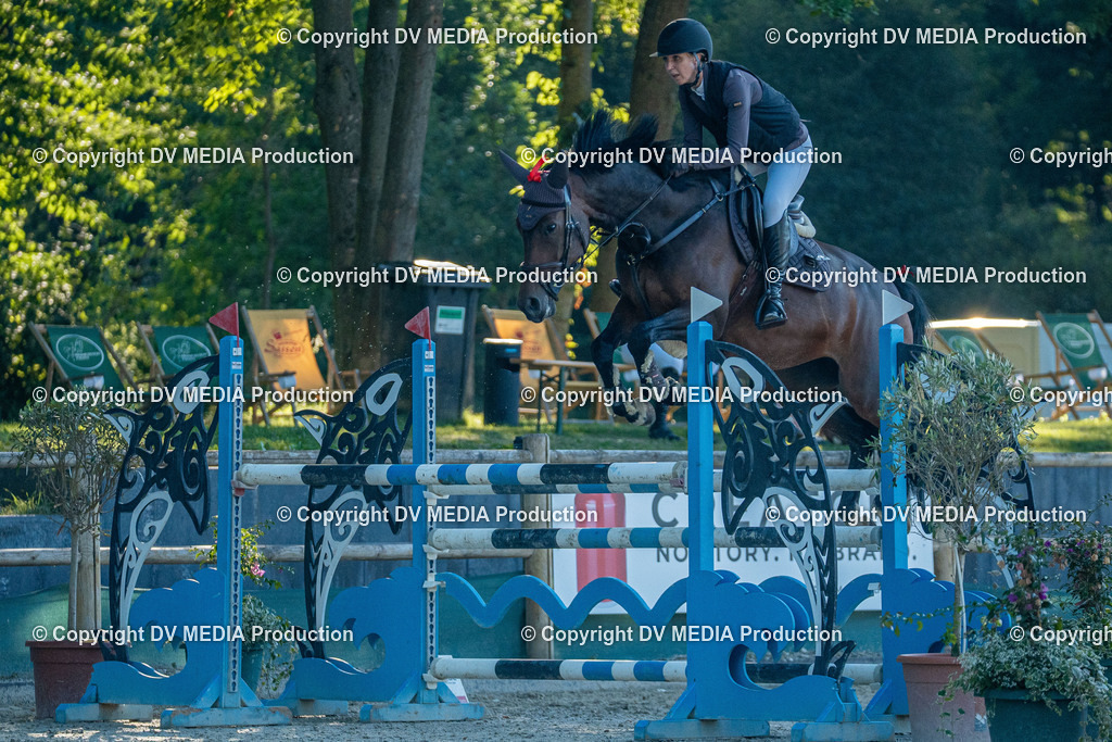 Hessische Tag 1-1933 | dv-media-shop - Realisiert mit Pictrs.com