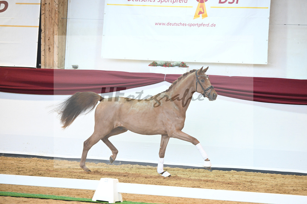Kat-Nr. 52 v. Vaderland_Galneder_66220737 | hf-fotografie - Realisiert mit Pictrs.com