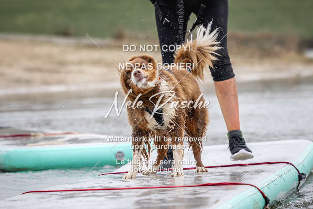 nelerasche_Hulsbeek_Sa1130-1230_325 | nelerasche
