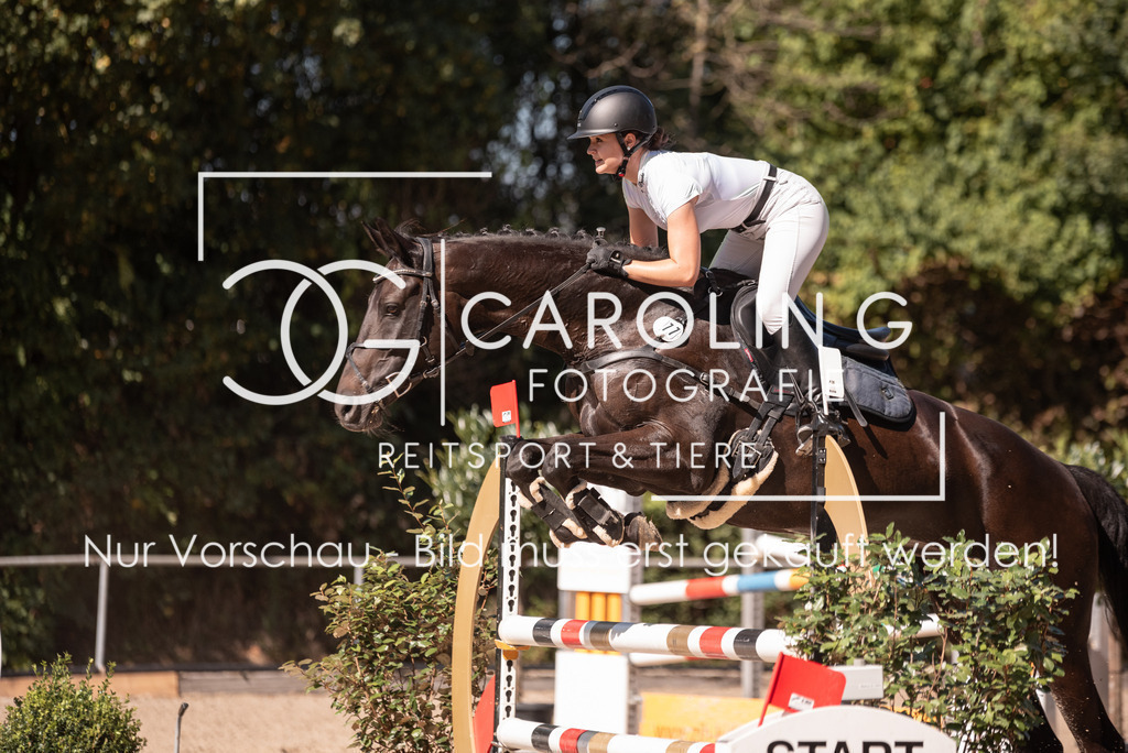 DSC_7556 | Turnierfotografin Carolin Gieschke, Turnierfotografie Carolin G Fotografie, Turnierfotos Kirchheim/Teck, Esslingen, Stuttgart, Bodenseekreis