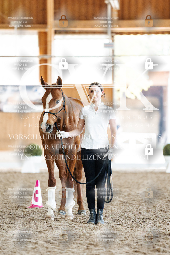 CK907674 | Turnierfotografie Pferdefotografie Trier Rheinland-Pfalz Pferdesport Reitsport Tierfotografie Sportfotografie Pferdevideo Pferdevideografie Equestrianvideography equestrianphotography  - Realisiert mit Pictrs.com