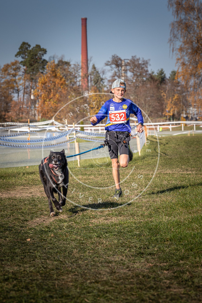 CaniXpix_0L8A7345 | Hundefotografie, Tierfotograf, Pfotenfotografie, Fotoshooting Hund, Hunde Portrait, Hundesport, Hundeportraits, Heideshooting, Hunde, Sportfotograf, Hundefotograf, Turnierhundsport, THS,  - Realisiert mit Pictrs.com