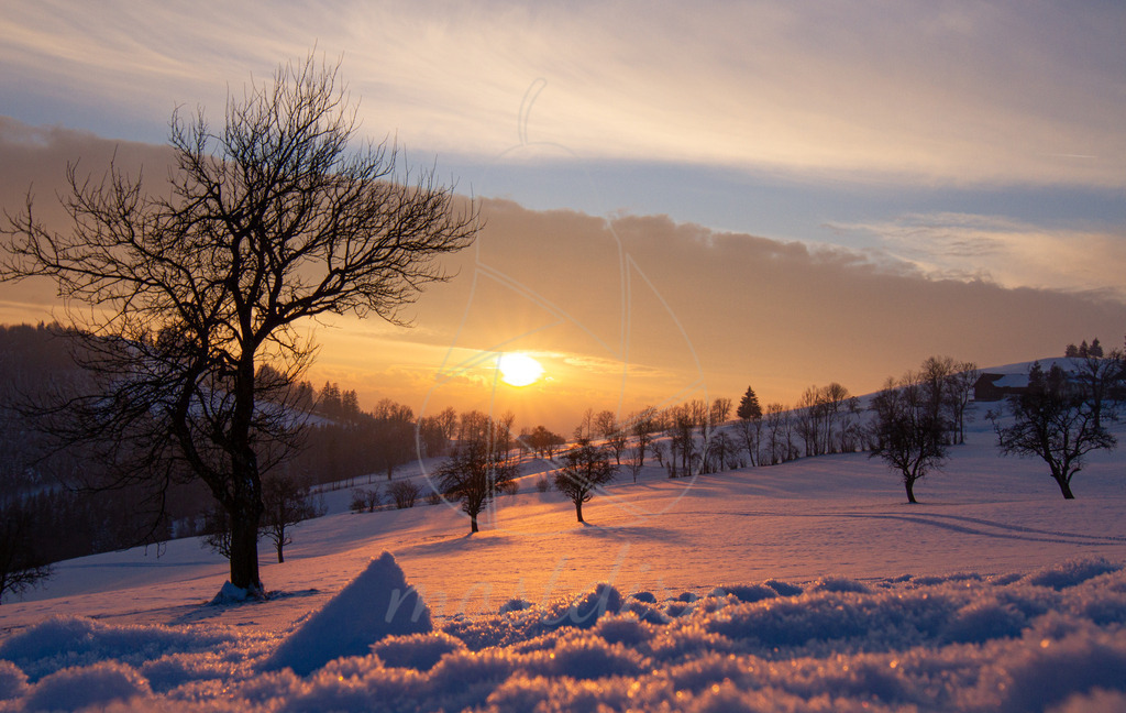 Wintersonne Panoramahöhenweg | Bei Veröffentlichung des Bildes ist eine Namensnennung wie folgt erforderlich: 
Foto: Mostdirn Irmgard Wieser - Realisiert mit Pictrs.com