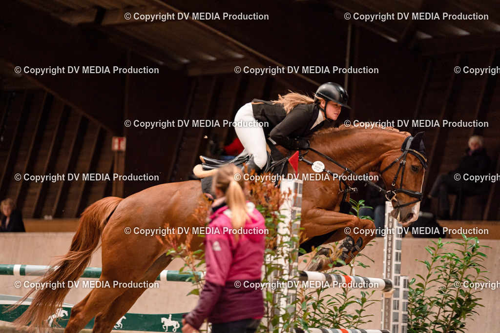 Springen Tag 1-570 | dv-media-shop - Realisiert mit Pictrs.com