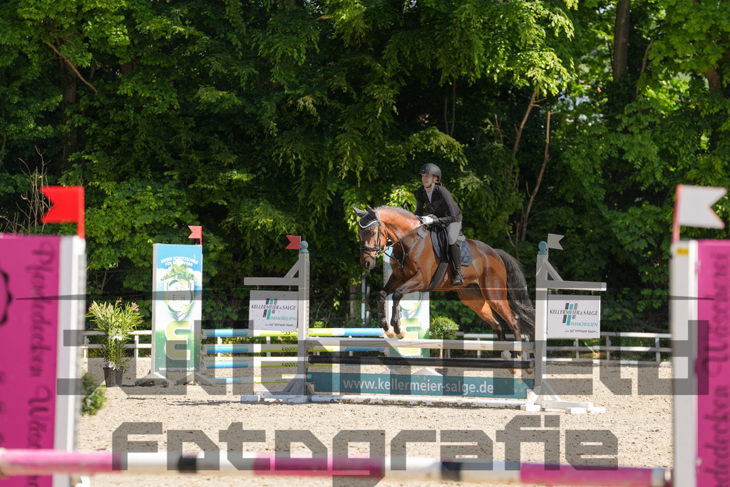 DSC02102 | Julian Held Fotografie - Realisiert mit Pictrs.com