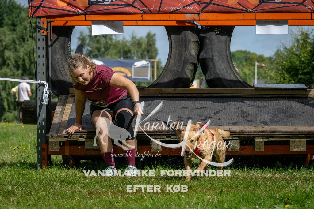 1131_ZZ92367 | kk-dogfotos
