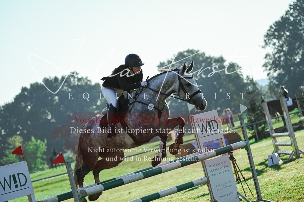 DSC_4164 | Pferde- und Turnierfotografie in Westsachsen. Pferdeportraits, Auftragszeichnungen und intuitive Kunst.