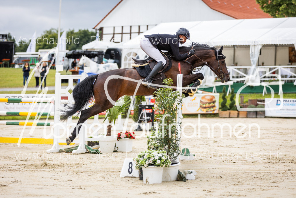 BHO-2PhSpr-M-5-2240 | MomenTaufnahmen Pferdesportfotos