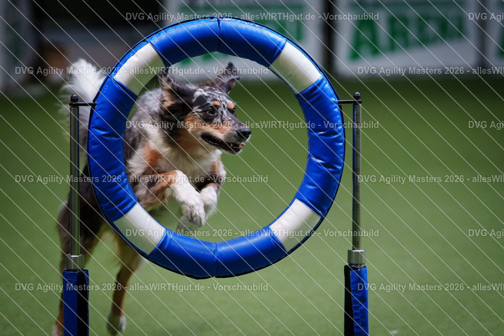 allesWIRTHgut_Tierfotografie-DVG_Agility_Masters_2026-10_59-7R500951 | Professionelle Tierfotografie in Mönchengladbach von Daniel Wirth (allesWIRTHgut). Liebevolle & natürliche Bilder von Hunden & Katzen für unvergessliche Erinnerungen.