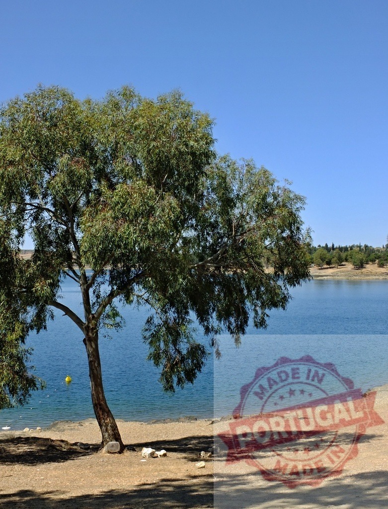 Tree standing on lakeshore with blue sky. Spain - Extremadura | Green tree shading a tranquil lake with calm water under clear blue sky - Realisiert mit Pictrs.com