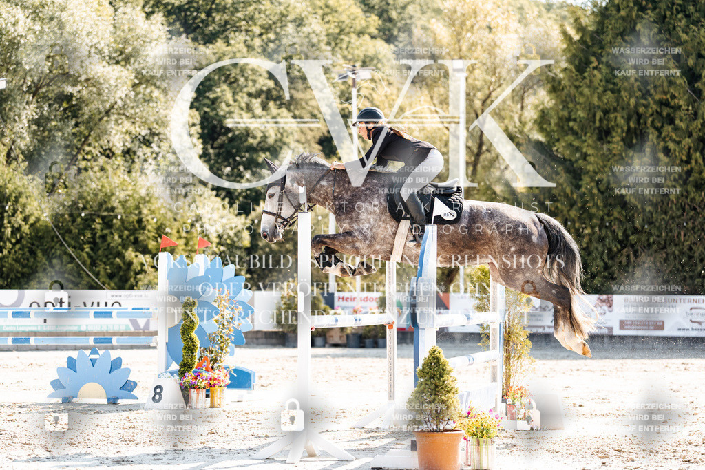 CK902605 | Turnierfotografie Pferdefotografie Trier Rheinland-Pfalz Pferdesport Reitsport Tierfotografie Sportfotografie Pferdevideo Pferdevideografie Equestrianvideography equestrianphotography  - Realisiert mit Pictrs.com