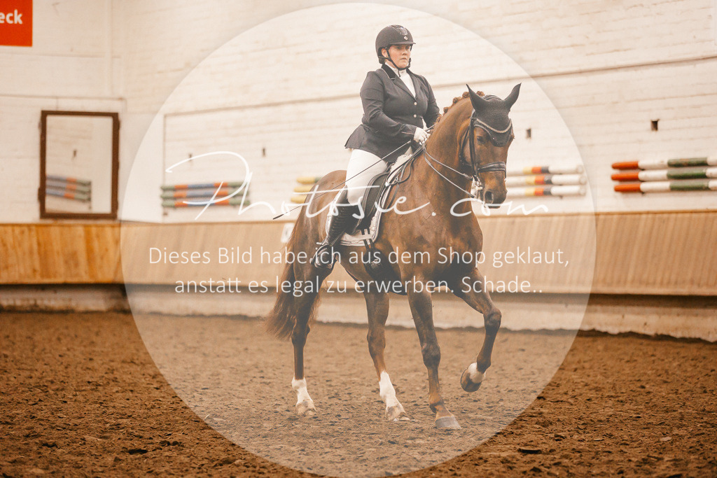3I6A3088 | Stimmungsvolle Portraits und Reitsportfotografie im Ruhrgebiet und im Münsterland.

Pferdefotografie, Hundefotografie, Tierfotografie, Reportagen, Portraits von Tier und Mensch, Turnierfotografie in Bochum, Recklinghausen, Marl, Haltern am See, Dülmen.. - Realisiert mit Pictrs.com