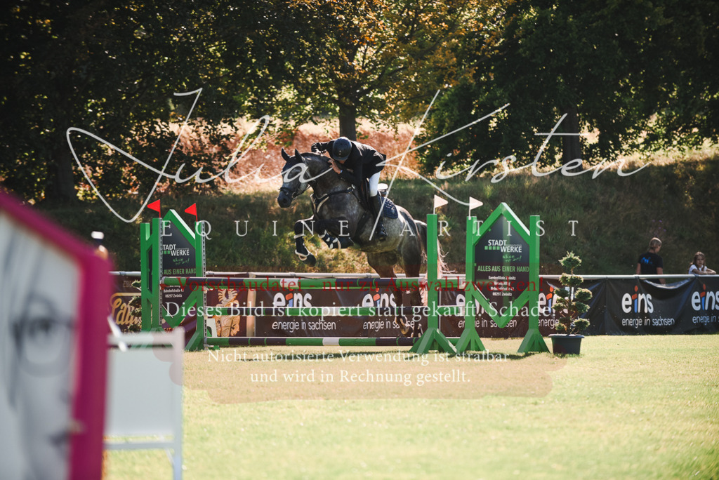 DSC_2366 | Pferde- und Turnierfotografie in Westsachsen. Pferdeportraits, Auftragszeichnungen und intuitive Kunst.