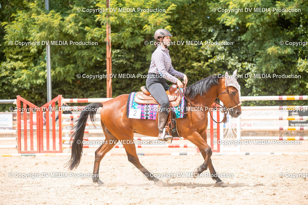 EWP_6560 | dv-media-shop - Realisiert mit Pictrs.com