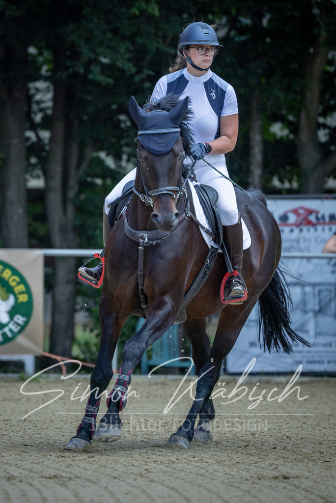 20260704-_3LI9333 | Tierfotografie Pferde, Hunde, Katzen, Haustiere.
Turnierfotografie Reitturniere, Reiten, Springreiten, Dressur in Hanau, dem Main-Kinzig-Kreis und dem Rhein-Main- Gebiet um Frankfurt