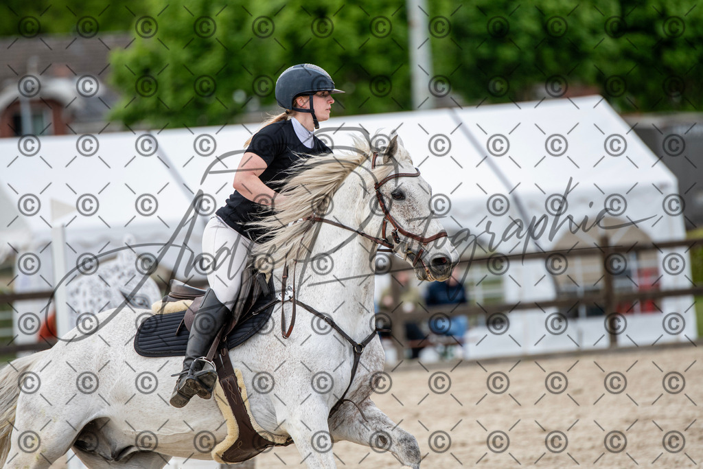 KPT_7347 | andre_photographic