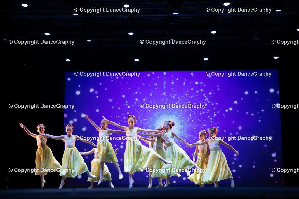 GPHY4725 | DanceGraphy - Realisiert mit Pictrs.com