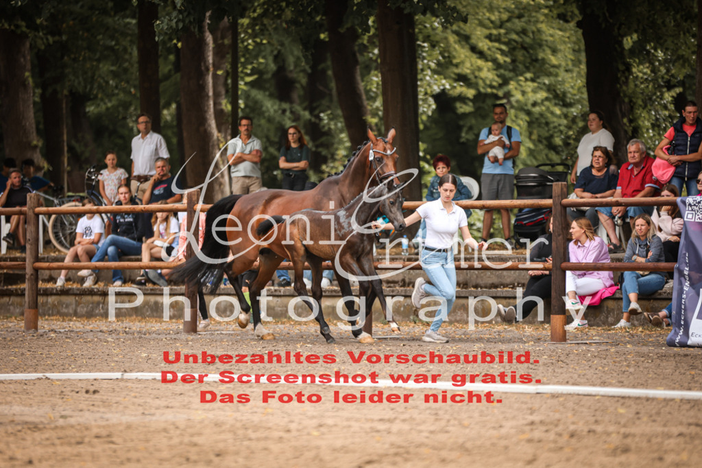 SaFohlen00041 | Leoni Ertmer Photography - Realisiert mit Pictrs.com