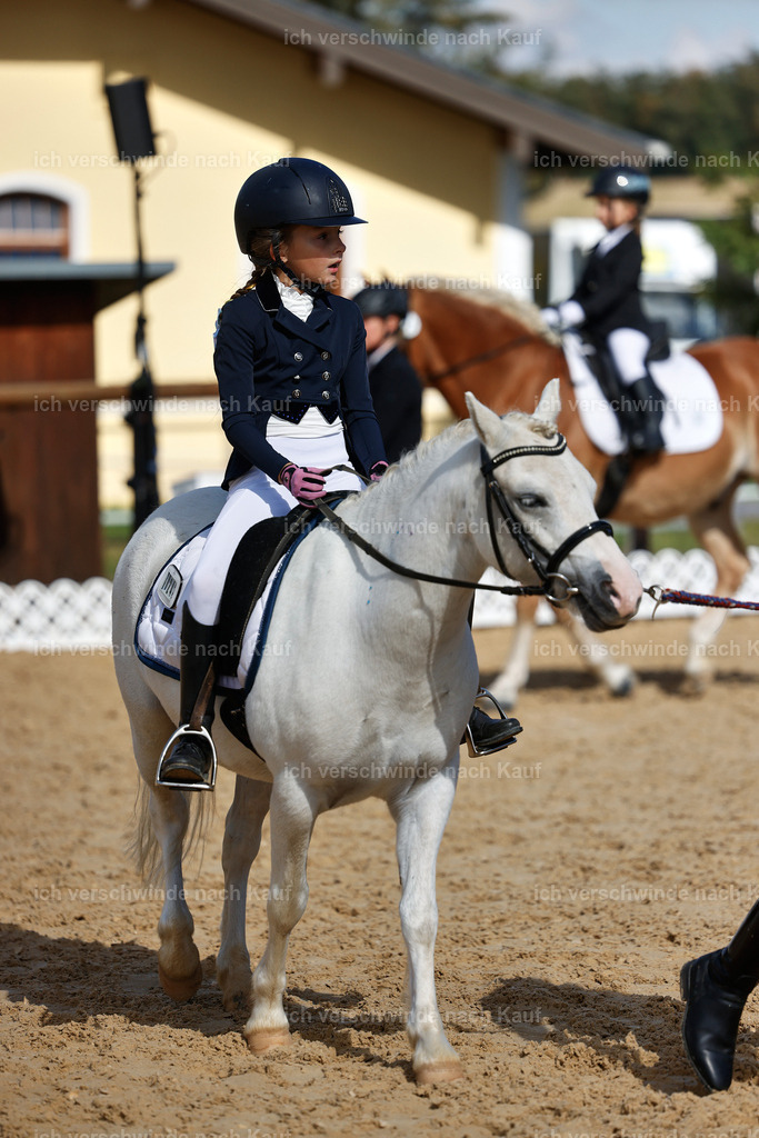 01--Ponyführzügel -StoibPH-6677 | working equitationturnier fotograf videograf stoibphotography marixx film working equitation deutschland reitsport turnierfotografie eventfotografie equestrian events