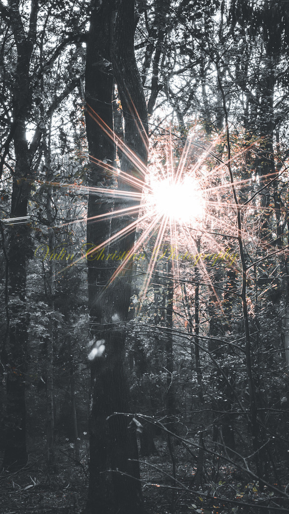 P 59 | Christian Vulin  - Realisiert mit Pictrs.com