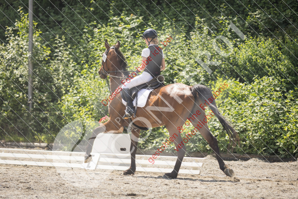 IMG_4653 | Sport-, Event- und Tierfotos in Profiqualität. Einfach auswählen, bestellen und herunterladen. Dein Moment – perfekt festgehalten.