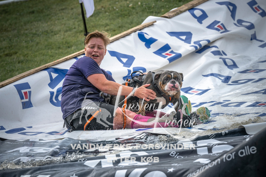 1623_ZZ98084 | kk-dogfotos