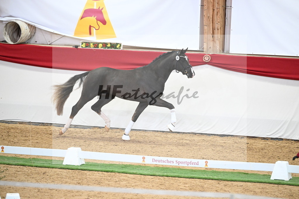 Kat.-Nr. 45 v. Bonds_Schafhof_2250057 | hf-fotografie - Realisiert mit Pictrs.com