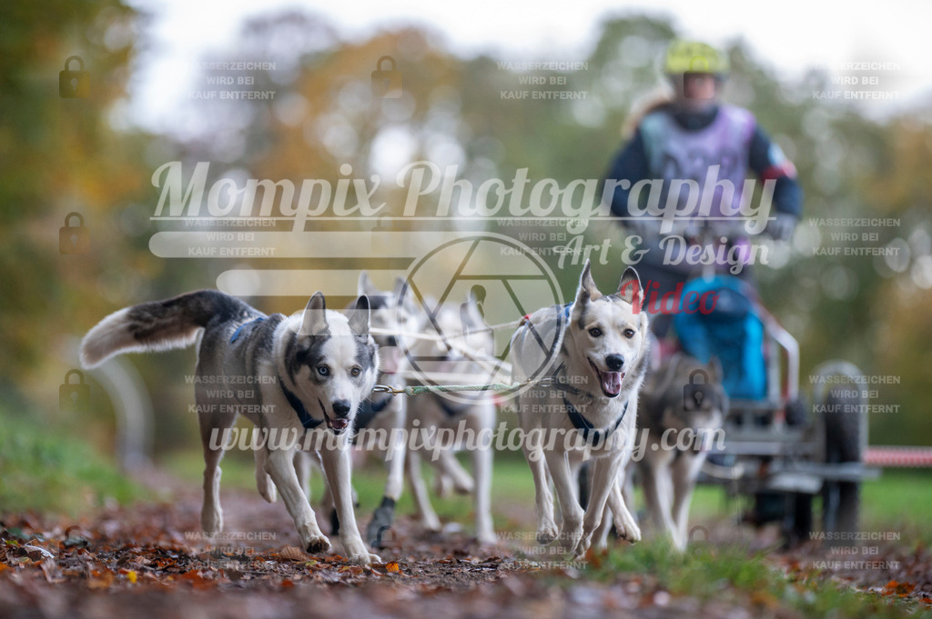 DBT_DAKM_SA_4_11_2023_Kart-9 | PayLife