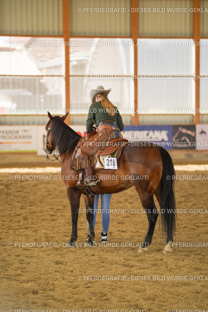 DSC08456 | Pferdegrafie