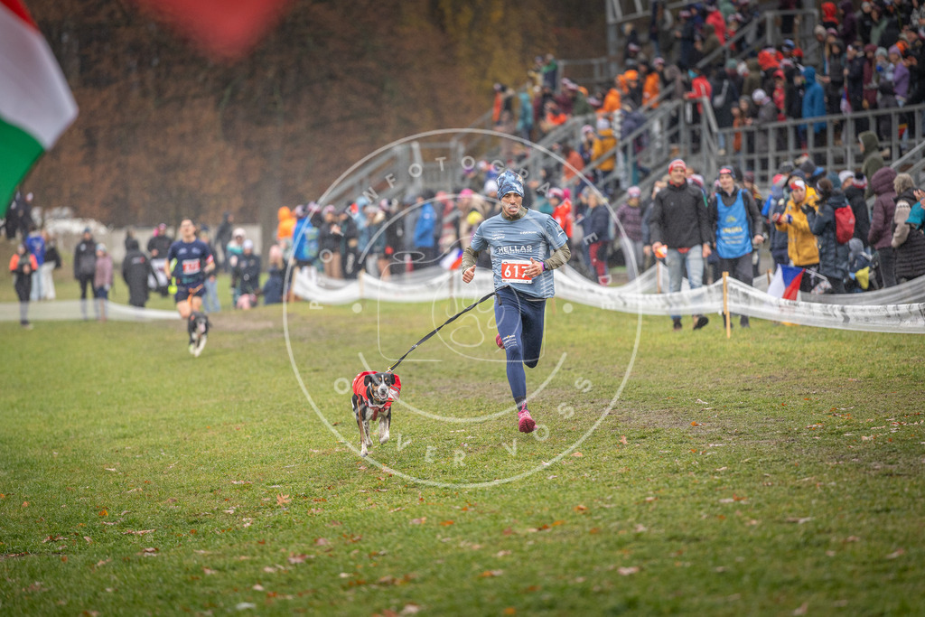 CaniXpix_DV3A0002 | Hundefotografie, Tierfotograf, Pfotenfotografie, Fotoshooting Hund, Hunde Portrait, Hundesport, Hundeportraits, Heideshooting, Hunde, Sportfotograf, Hundefotograf, Turnierhundsport, THS,  - Realisiert mit Pictrs.com