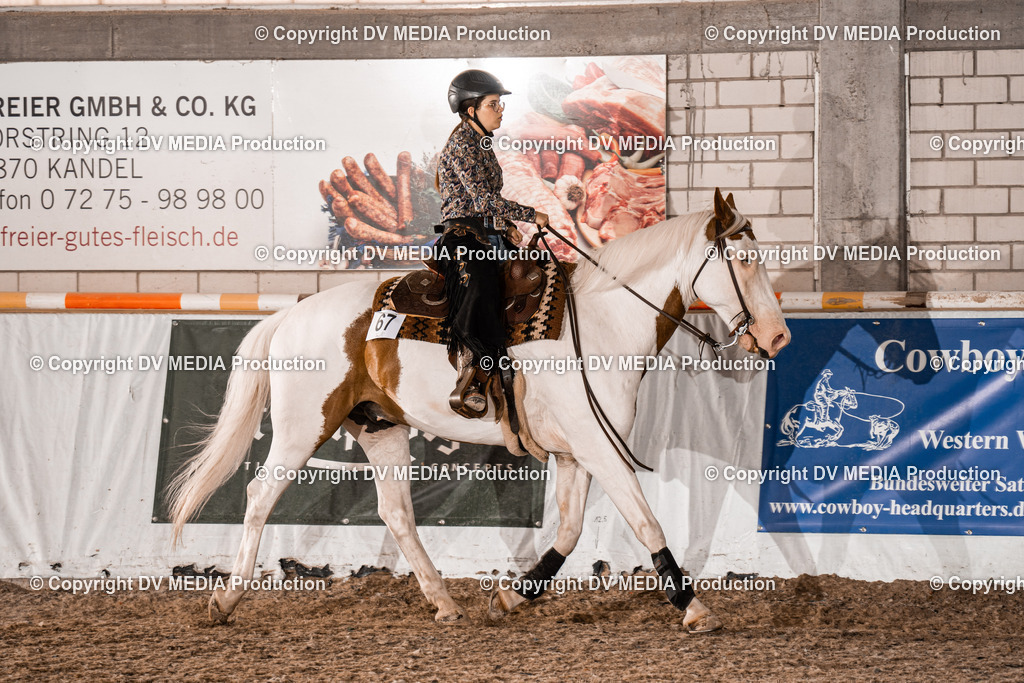 ZH200508 | dv-media-shop - Realisiert mit Pictrs.com