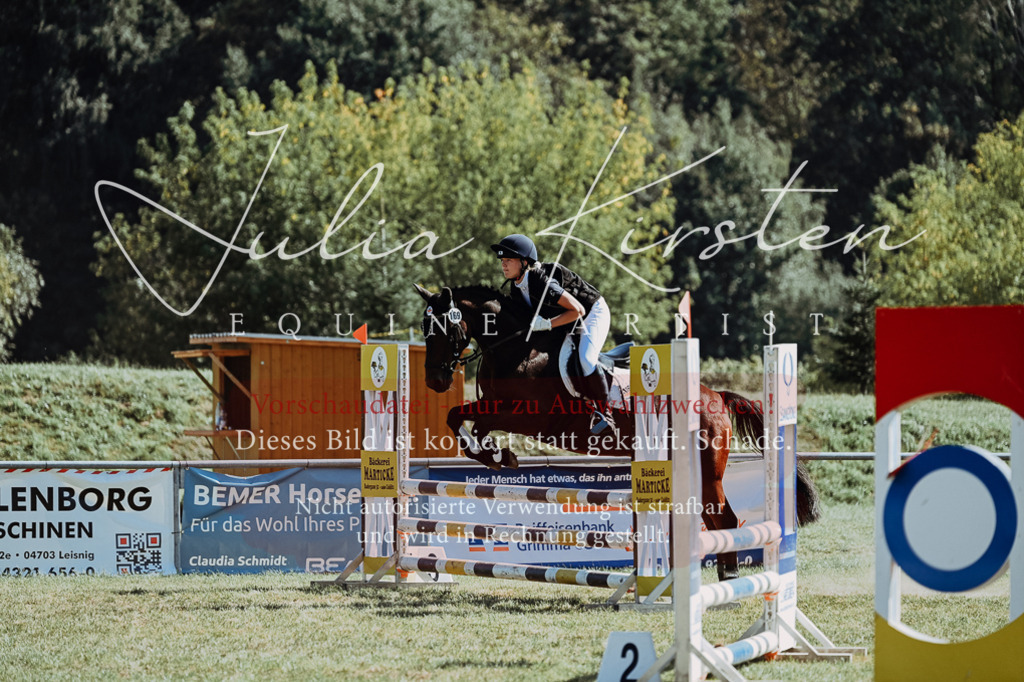 DSC_6656 | Pferde- und Turnierfotografie in Westsachsen. Pferdeportraits, Auftragszeichnungen und intuitive Kunst.