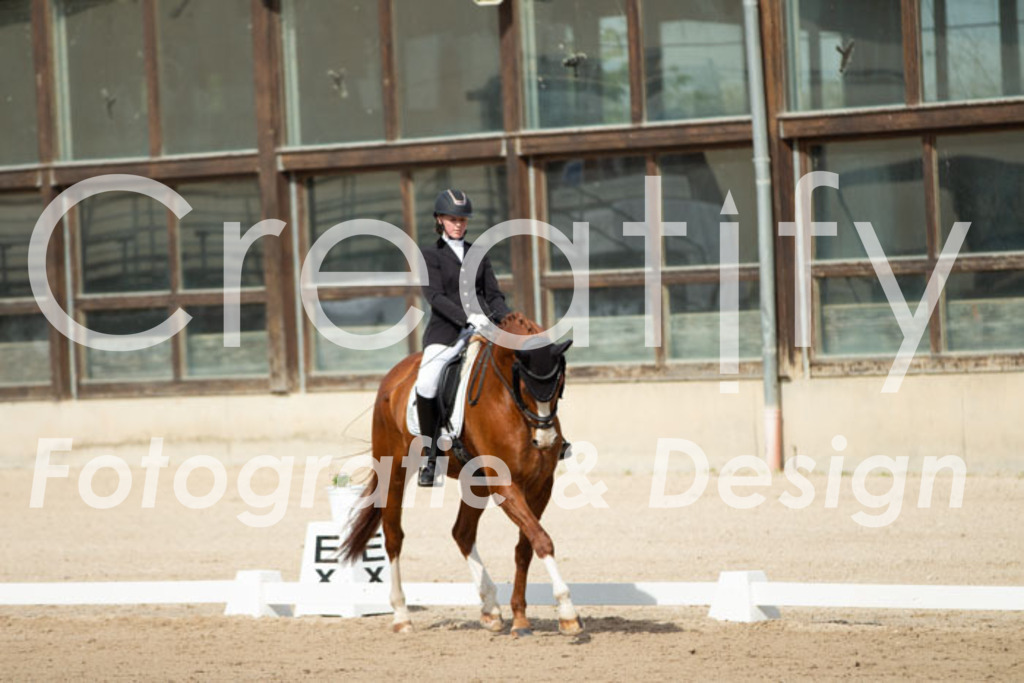 IMG_1313 | Creatify Fotografie