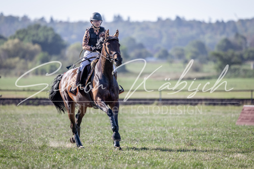 20260906-_3LI1769 | Tierfotografie Pferde, Hunde, Katzen, Haustiere.
Turnierfotografie Reitturniere, Reiten, Springreiten, Dressur in Hanau, dem Main-Kinzig-Kreis und dem Rhein-Main- Gebiet um Frankfurt