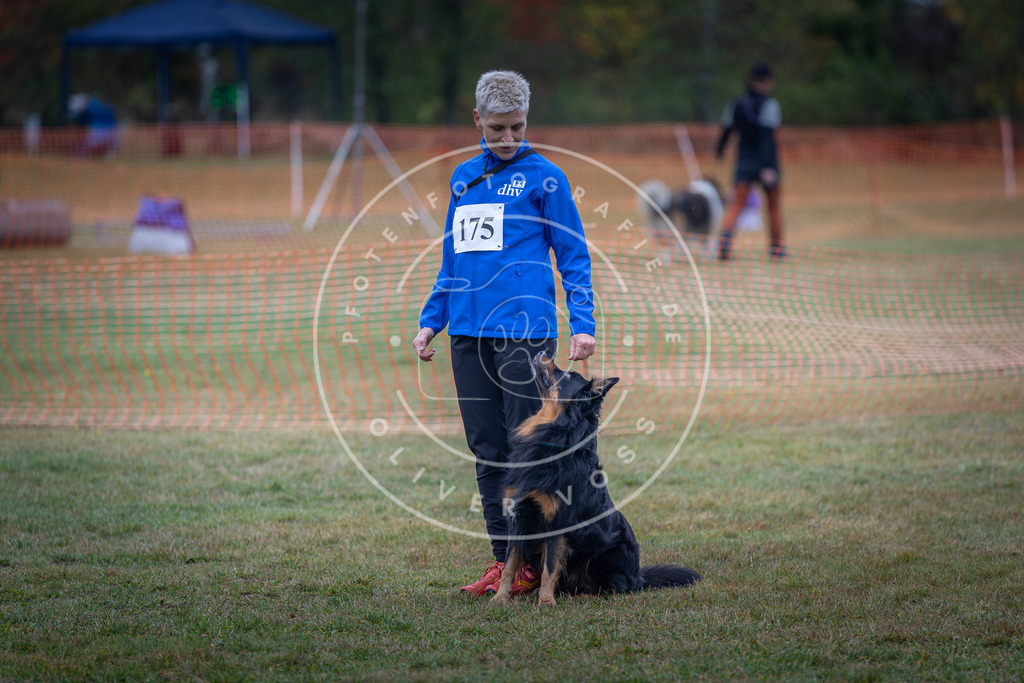 Pfotenfotografie_DV3A9332 | Hundefotografie, Tierfotograf, Pfotenfotografie, Fotoshooting Hund, Hunde Portrait, Hundesport, Hundeportraits, Heideshooting, Hunde, Sportfotograf, Hundefotograf, Turnierhundsport, THS,  - Realisiert mit Pictrs.com